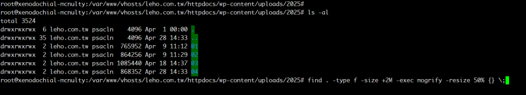 Wordpress 簡單手動壓縮媒體庫 find image command