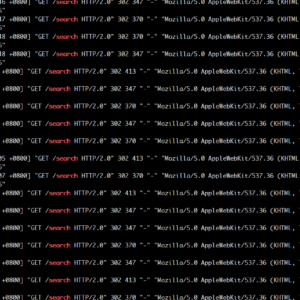bingbot_search_page_attack