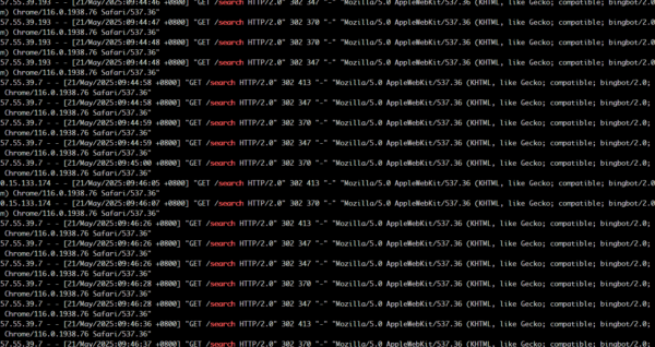 bingbot_search_page_attack