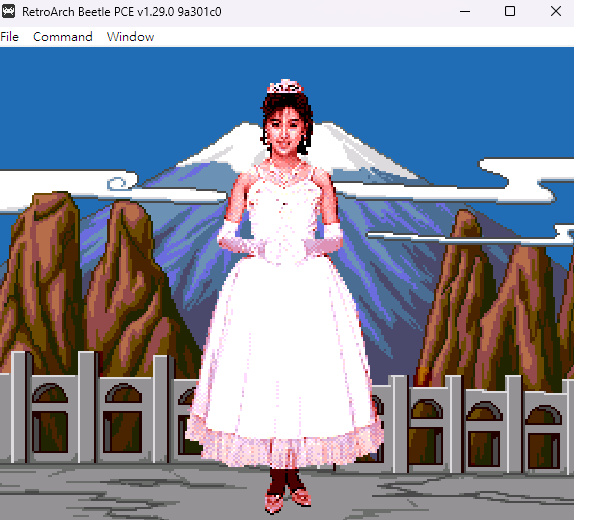 酒井法子過關畫面